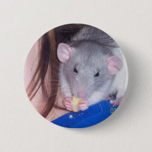 Haustier-Ratte Pinback Knopf Button