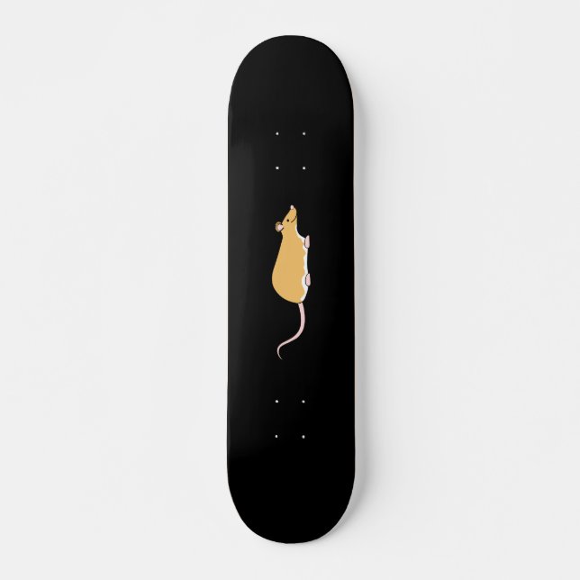Haustier-Ratte. Zimt Berkshire, weißer Bauch Skateboard (Vorne)
