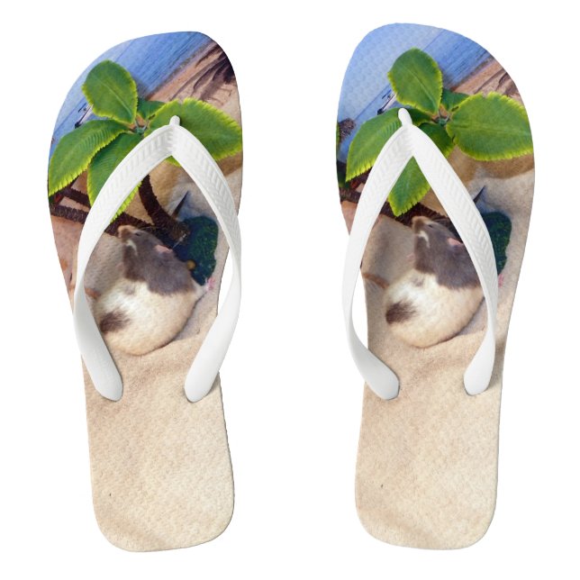 Haustier-Ratten-Herr Bean am Strand drehen Flip Flops (Fußbett)