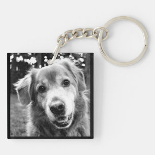 Haustier-Sammlung - die vielen Gesichter der Hunde Schlüsselanhänger
