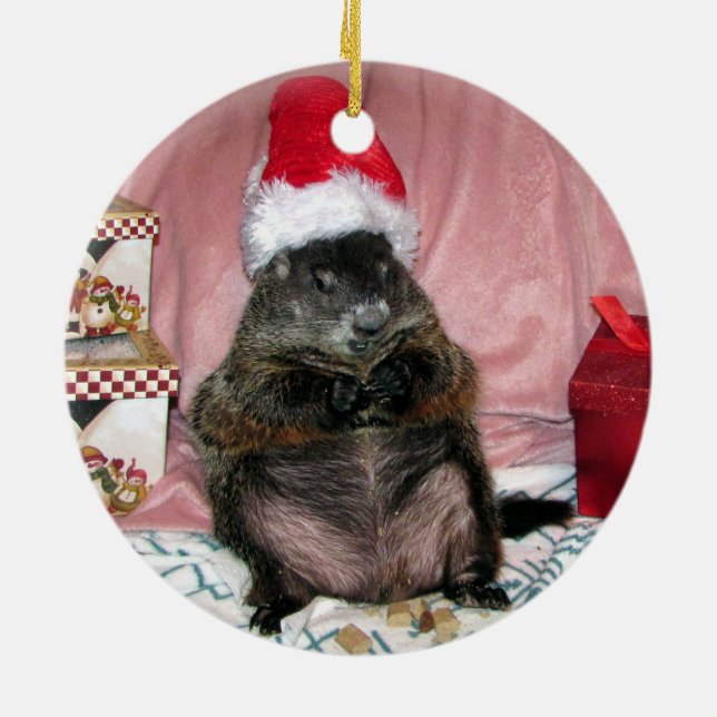 Haustier Sankt Moses Groundhog Keramik Ornament (Hinten)