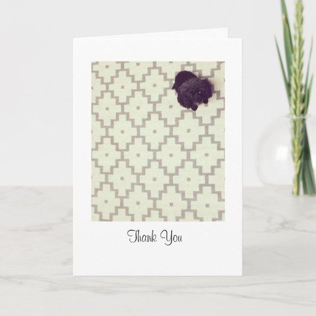 Haustier-Sitter Dankeskarte (Vorderseite)