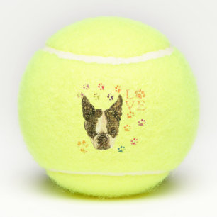 Haustier Tennis Balls Tennisbälle