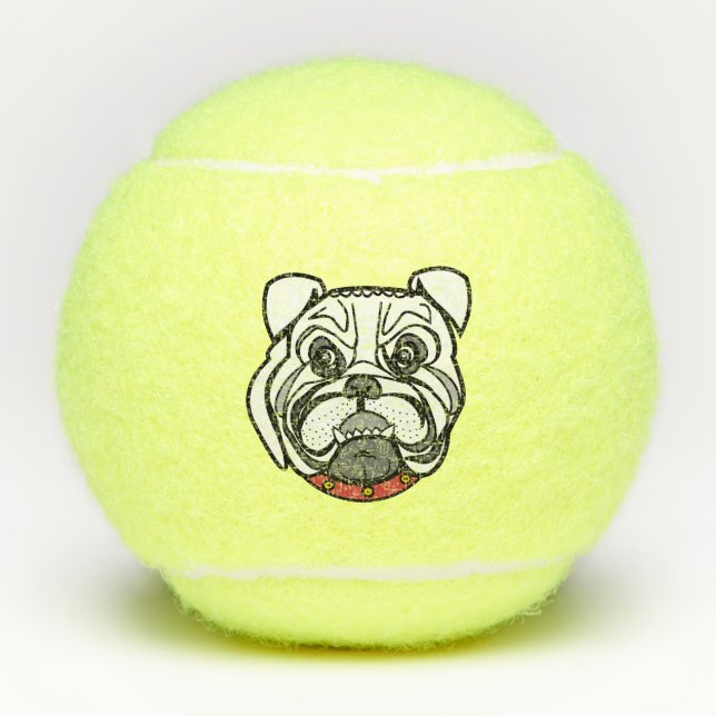 Haustier Tennis Balls Tennisbälle (Vorderseite)