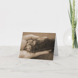 Haustier-Verlust - Touch eines Engels Karte