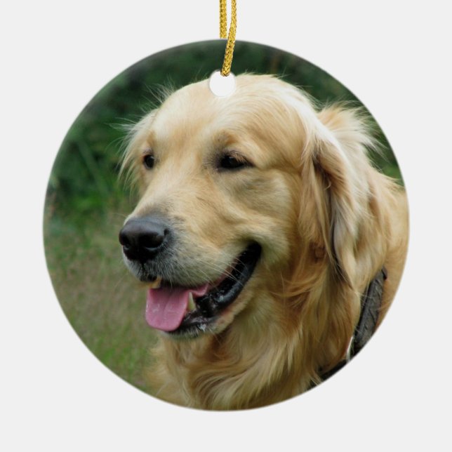 Haustier-WeihnachtsFoto-Geschenkandenken Keramikornament (Vorne)