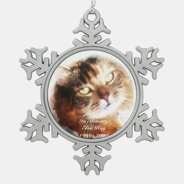 Haustierdenkmal addieren Ihre Fotoverzierung Schneeflocken Zinn-Ornament (Vorderseite)