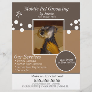 Haustierdienstleistungen Hundefotografie beim Fris Flyer