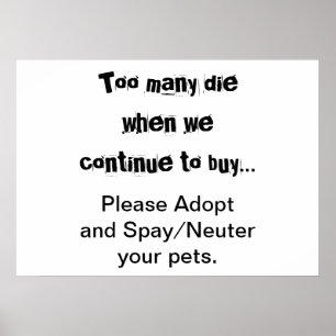 Haustiere Adoptieren Kastration Sterilisation Über Poster