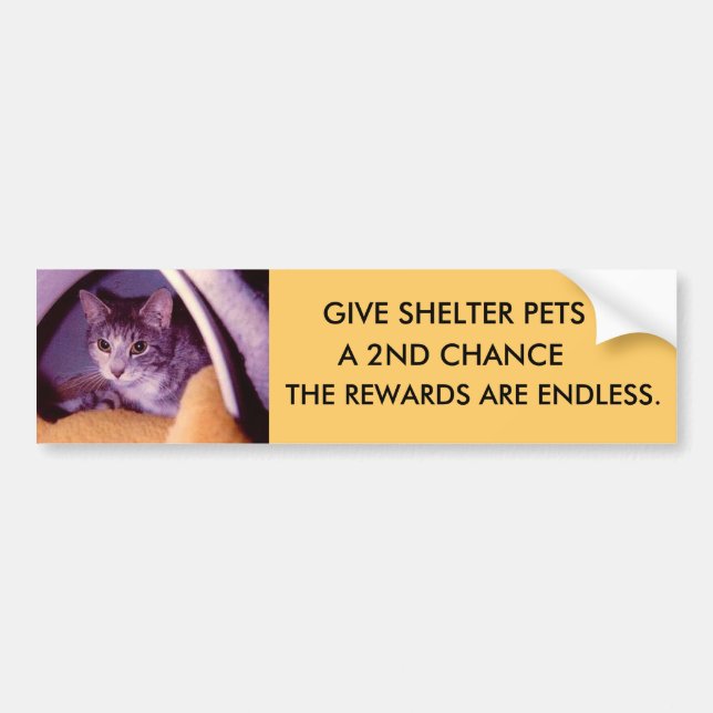 HAUSTIERE AUTOAUFKLEBER (Vorne)