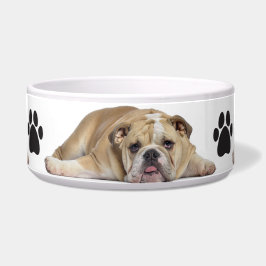 Haustiere Bowl/Bull Hund Napf