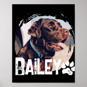 Haustiere Einfach Modern Cool Nge Name Und Foto Poster