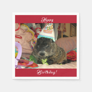 Haustiere Groundhos Moses Geburtstag Napkins Serviette