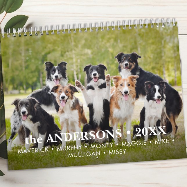 Haustiere Hunde Custom Fotos Moderne Niedlich 12 M Kalender (Von Creator hochgeladen)