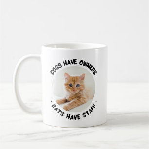 Haustiere Hunde haben Besitzer Katzen haben Mitarb Kaffeetasse