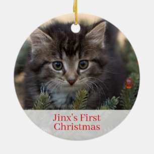 Haustiere Kätzchen Erste Weihnachtsfeier Foto Orn Keramik Ornament