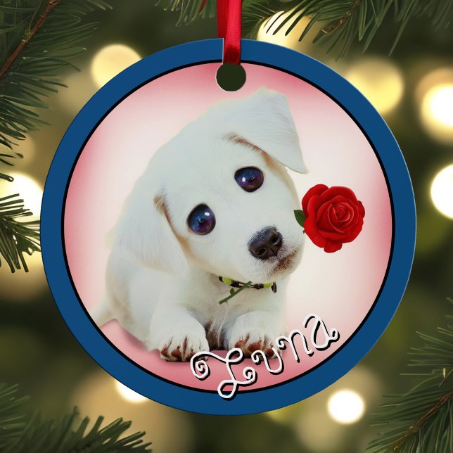 Haustiere Keepake 2 Fotos & Names Holiday Dog Cat  Ornament Aus Metall (Pet keepsake Christmas ornament  with 2 Photos & Names, Holiday Dog Cat or Bird Metal Blue Border)