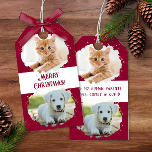 Haustiere lieben Personalisiert Zwei Fotos Weihnac Geschenkanhänger