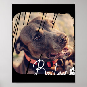 Haustiere Modern Einfach Coole Nge Name Und Foto Poster