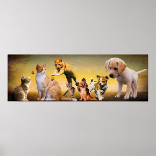 Haustiere Poster