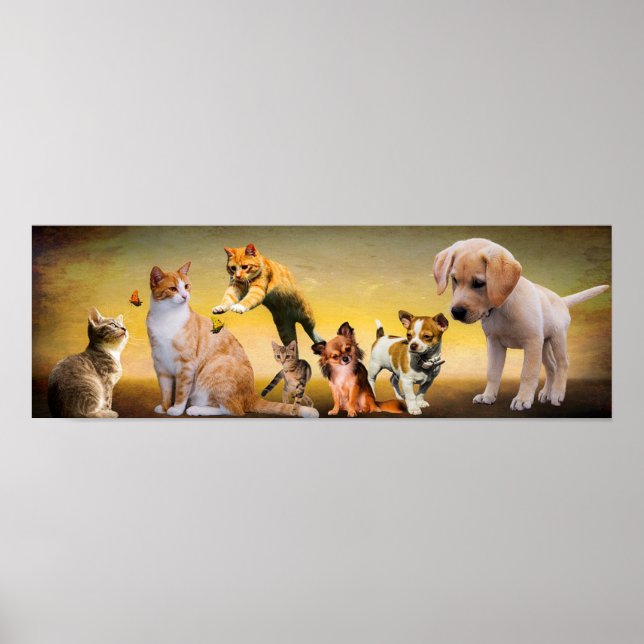 Haustiere Poster (Vorne)
