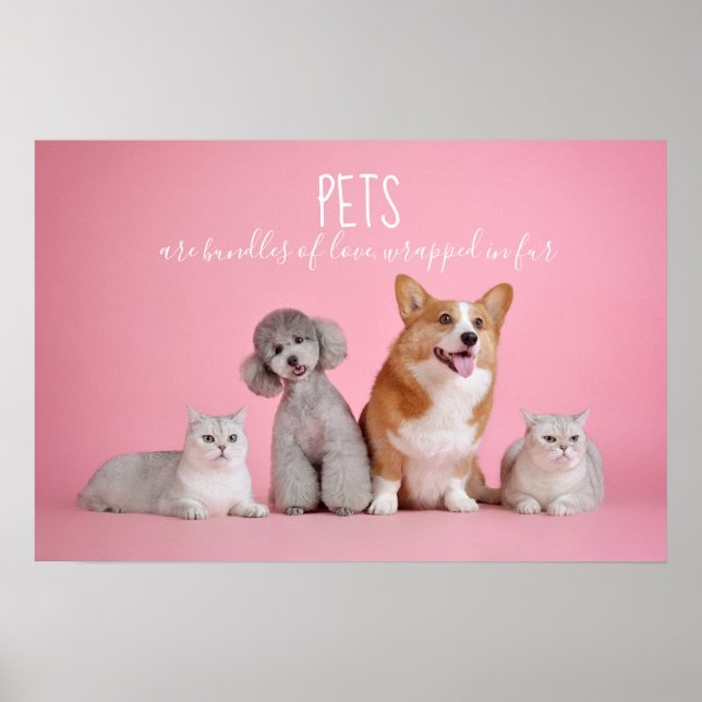 Haustiere sind Bündel von Lieben // Katzen und Hun Poster (Vorne)