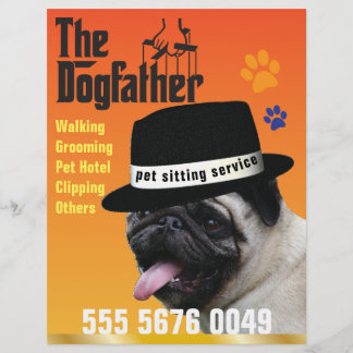Haustiere Sitzen 🐾 Dogvater Dog Walker vertrauens