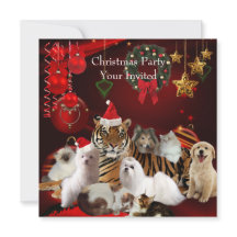 Haustiere Weihnachtsfeier Xmas Tiger Katzen Hunde