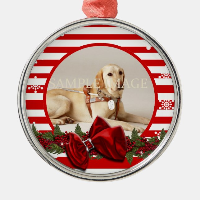HaustiererinnerungsFoto PERSONIFIZIEREN Ornament Aus Metall (Vorne)