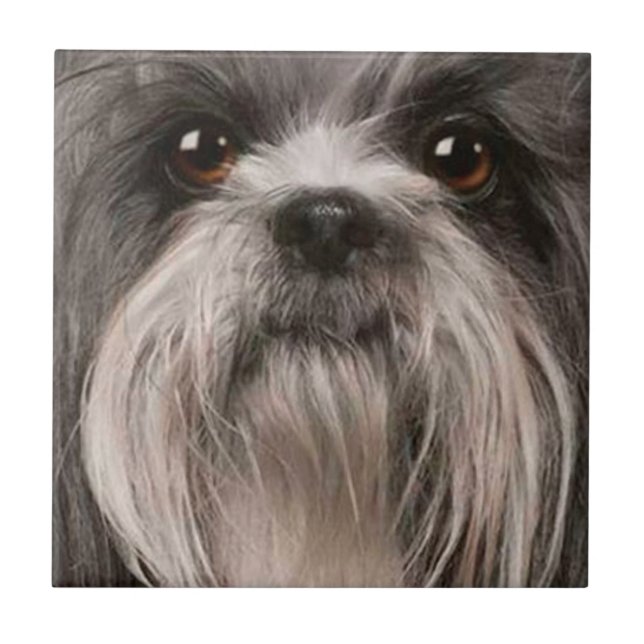 Haustierfliese 2 fliese (Vorderseite)