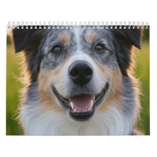Haustierfoto anpassen kalender