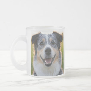 Haustierfoto anpassen mattglastasse