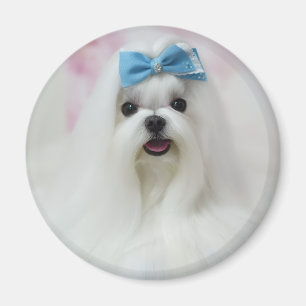 Haustierfoto Hochladen Niedliches Hundchen Magnet