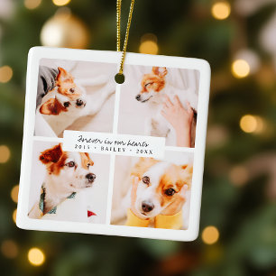 Haustiergedenken für immer in unseren Herzen Elega Keramikornament