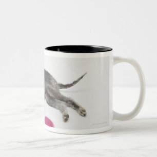 Haustierpflege, Gesundheit und Nahrung für Zweifarbige Tasse