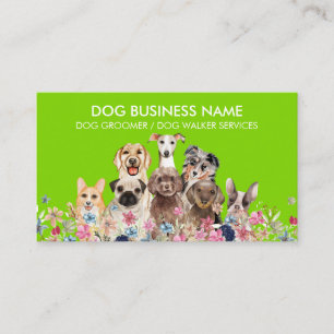 Haustiersitter Walker Hundetagesbetreuung groom ne Visitenkarte
