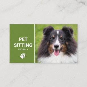 Haustiersitting-Hundservice Glückliches Sheltie-Hu Visitenkarte