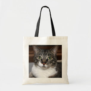 Haustiertabby-Katzen-Gesichts-Foto Tragetasche