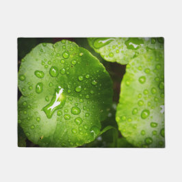 Haustüre von Premium-Qualität Fußmatte