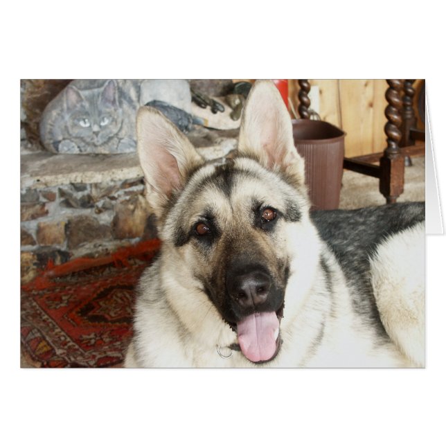 Haut étroit d'Australien (Devant horizontal)