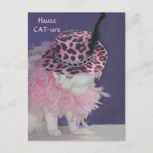 Haute CAT-ure Postkarte