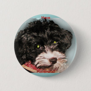 Hava Havanese! Button