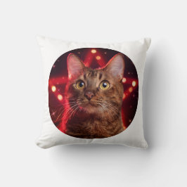 Havana Brown Cat (Rasse mit sternigem Hintergrund) Kissen