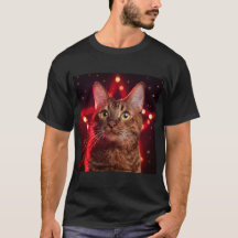 Havana Brown Katze mit sterndem Hintergrund