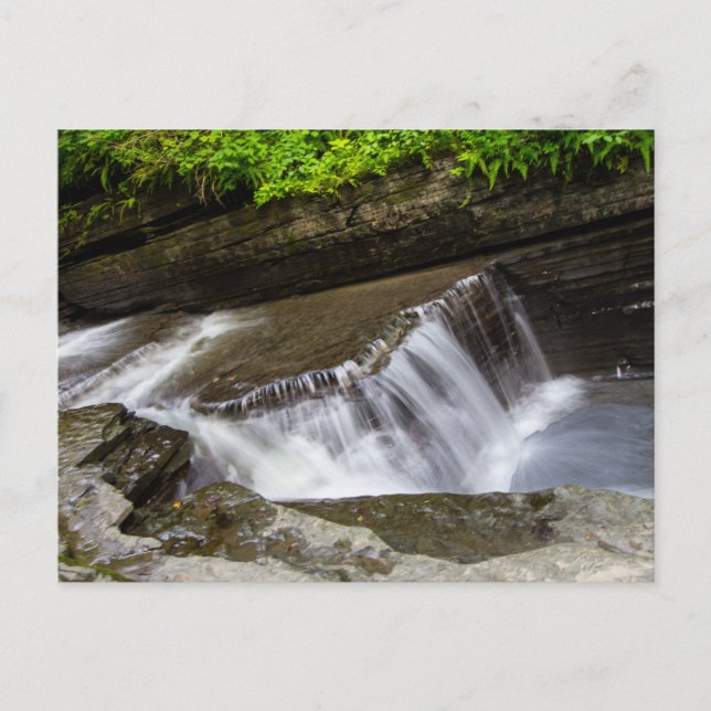 Havana Glen Park, Montour Falls, New York Postkarte (Vorderseite)
