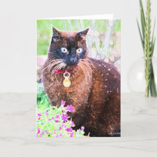 Havana Greeting Card Karte