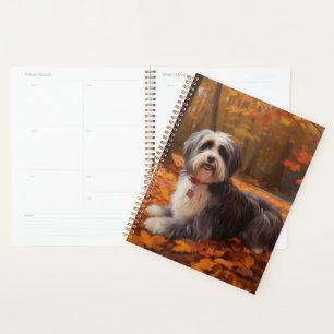 Havanais en automne Feuilles automne Inspiration