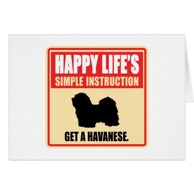 Havanese (Devant horizontal)