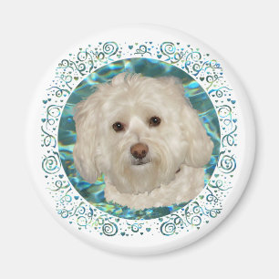 Havanese auf Türkiswasser Magnet