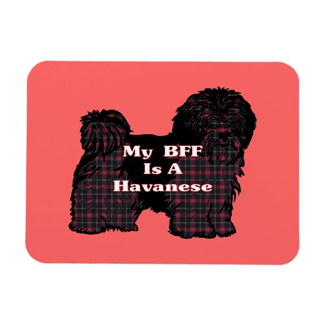 HAVANESE BESTE FREUNDIN MAGNET (Horizontal)
